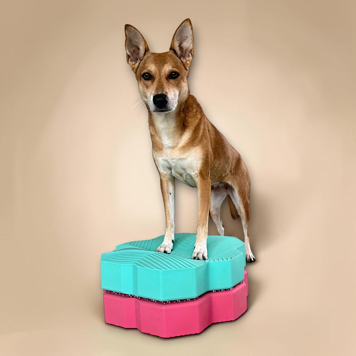 vetdogfit BALANCE DUO ORIGINAL