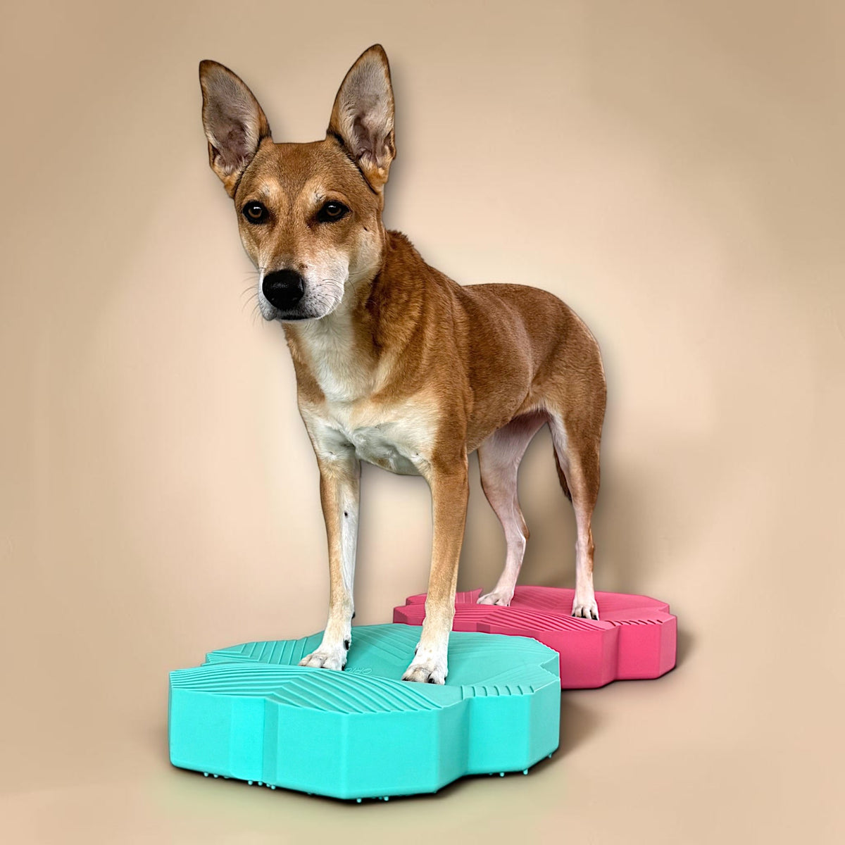 vetdogfit BALANCE DUO ORIGINAL