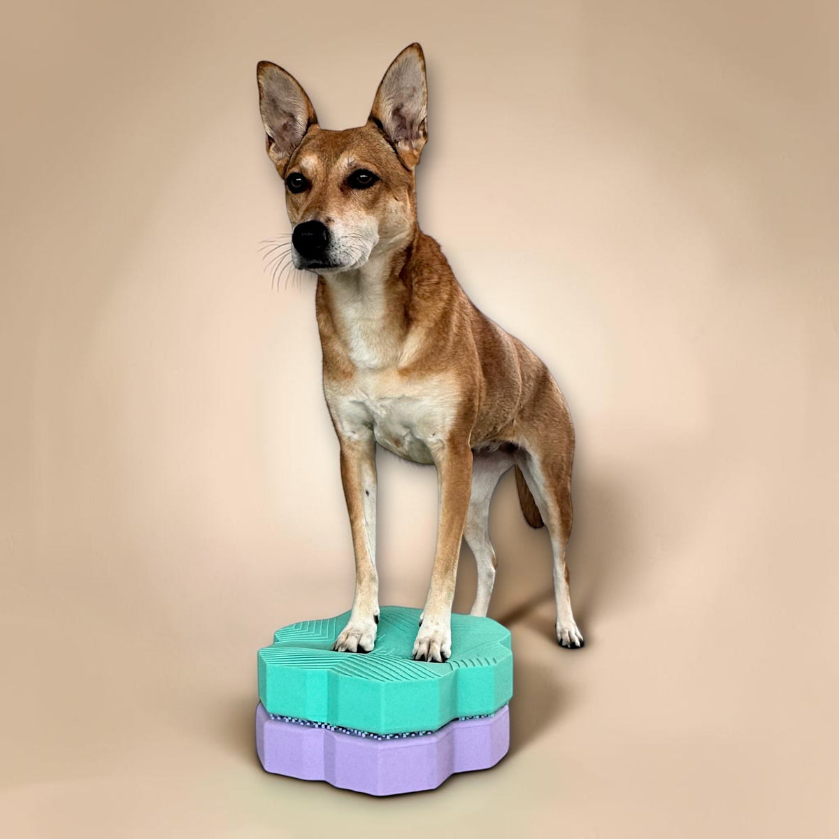 vetdogfit BALANCE DUO petite