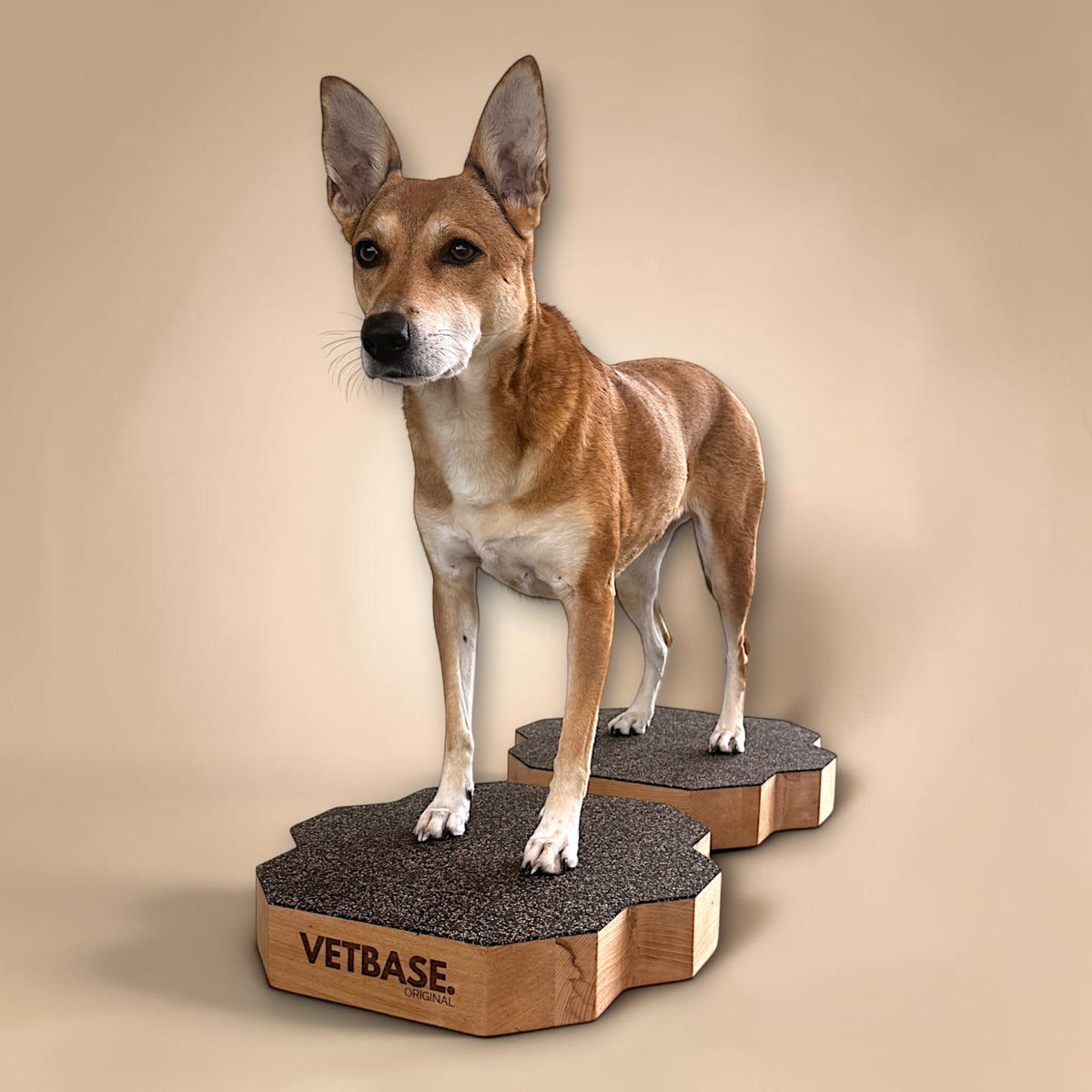 vetdogfit BASE DUO ORIGINAL