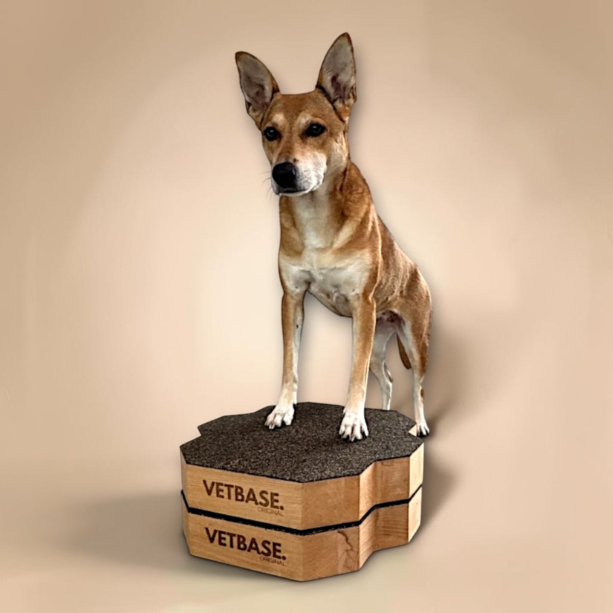 vetdogfit BASE DUO ORIGINAL