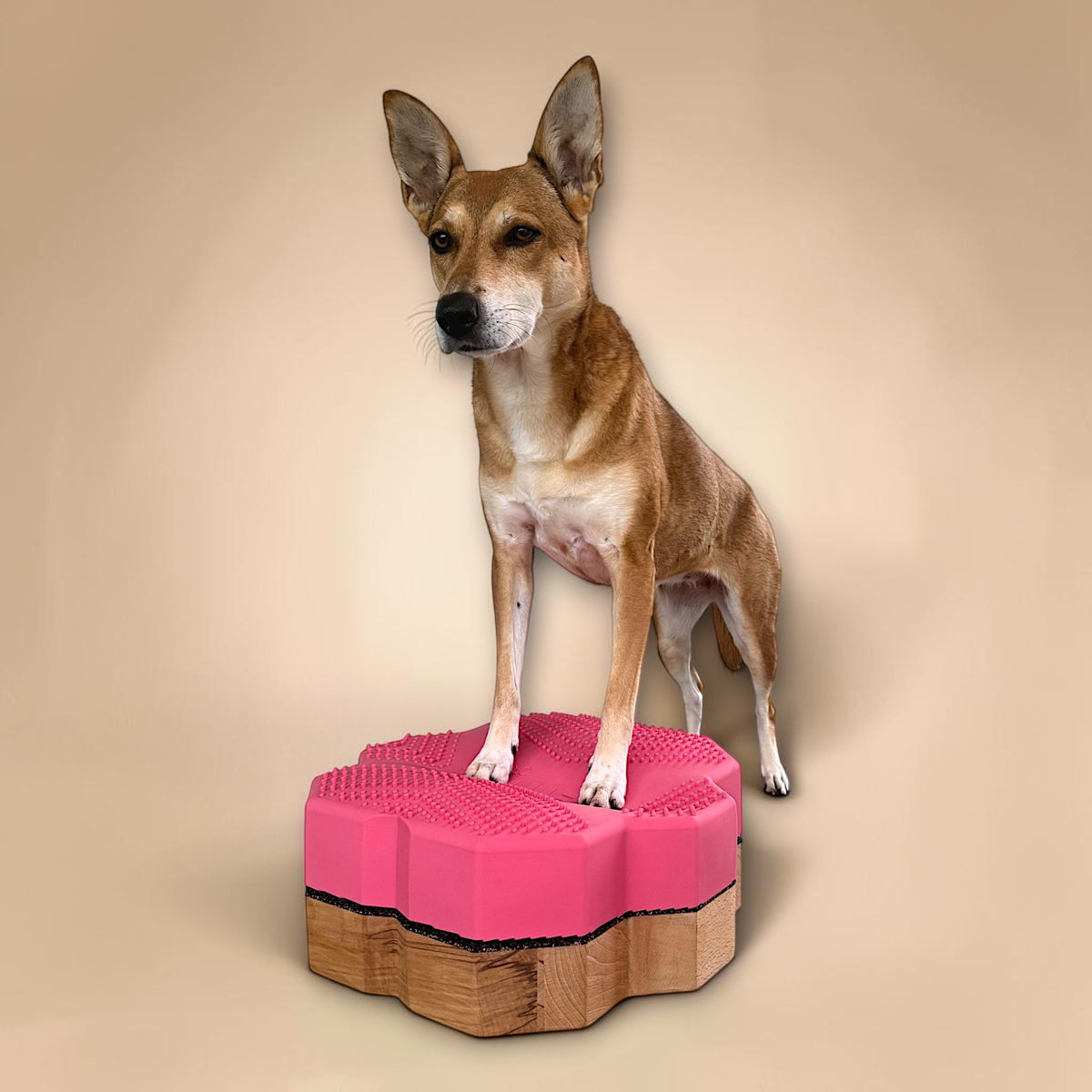 vetdogfit COMBI ORIGINAL