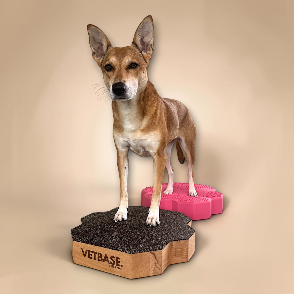 vetdogfit COMBI ORIGINAL