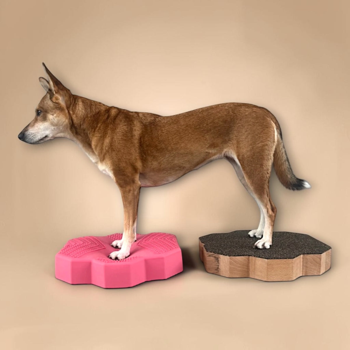 vetdogfit COMBI ORIGINAL