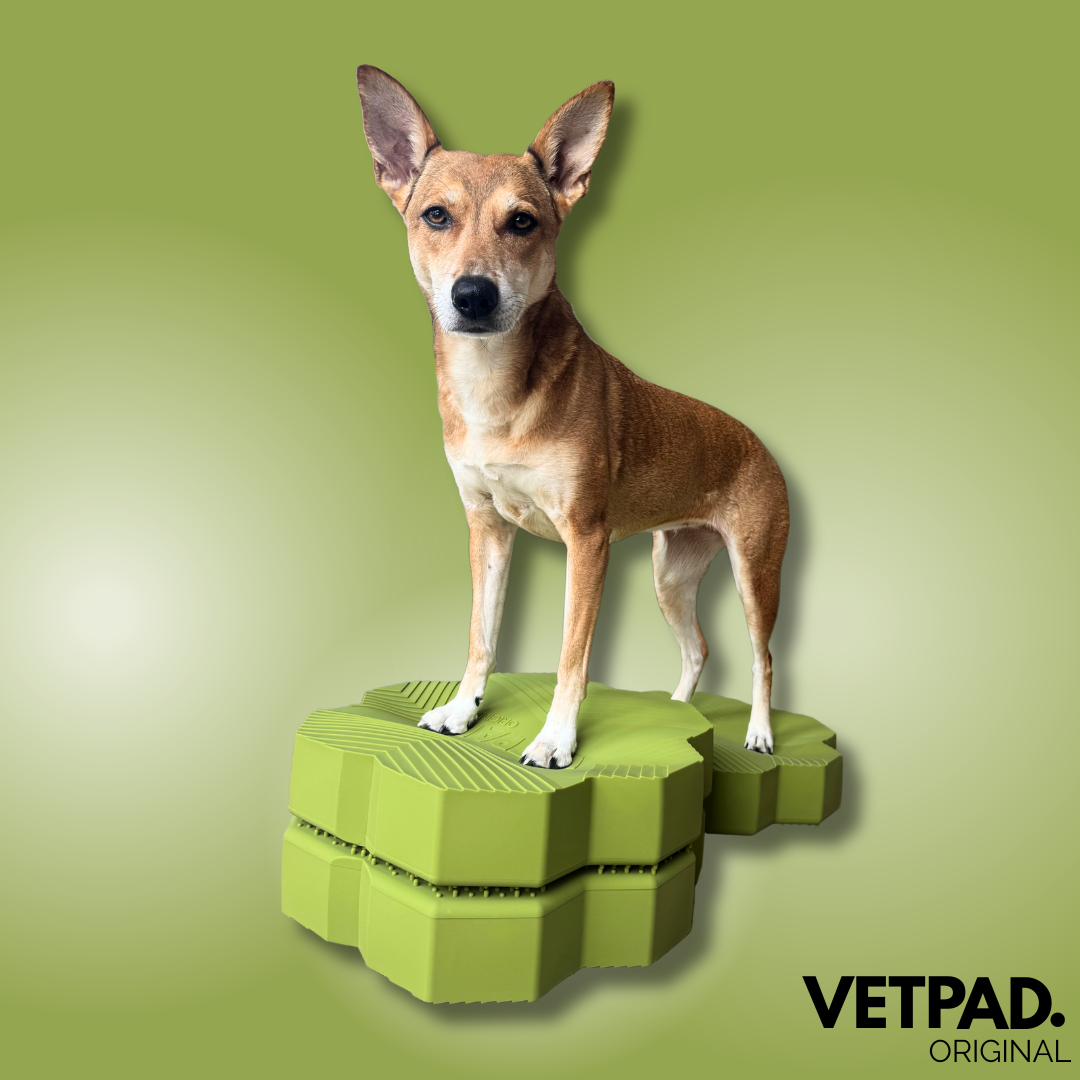 VETPAD. ORIGINAL – balance pad for dogs – frosty lilac