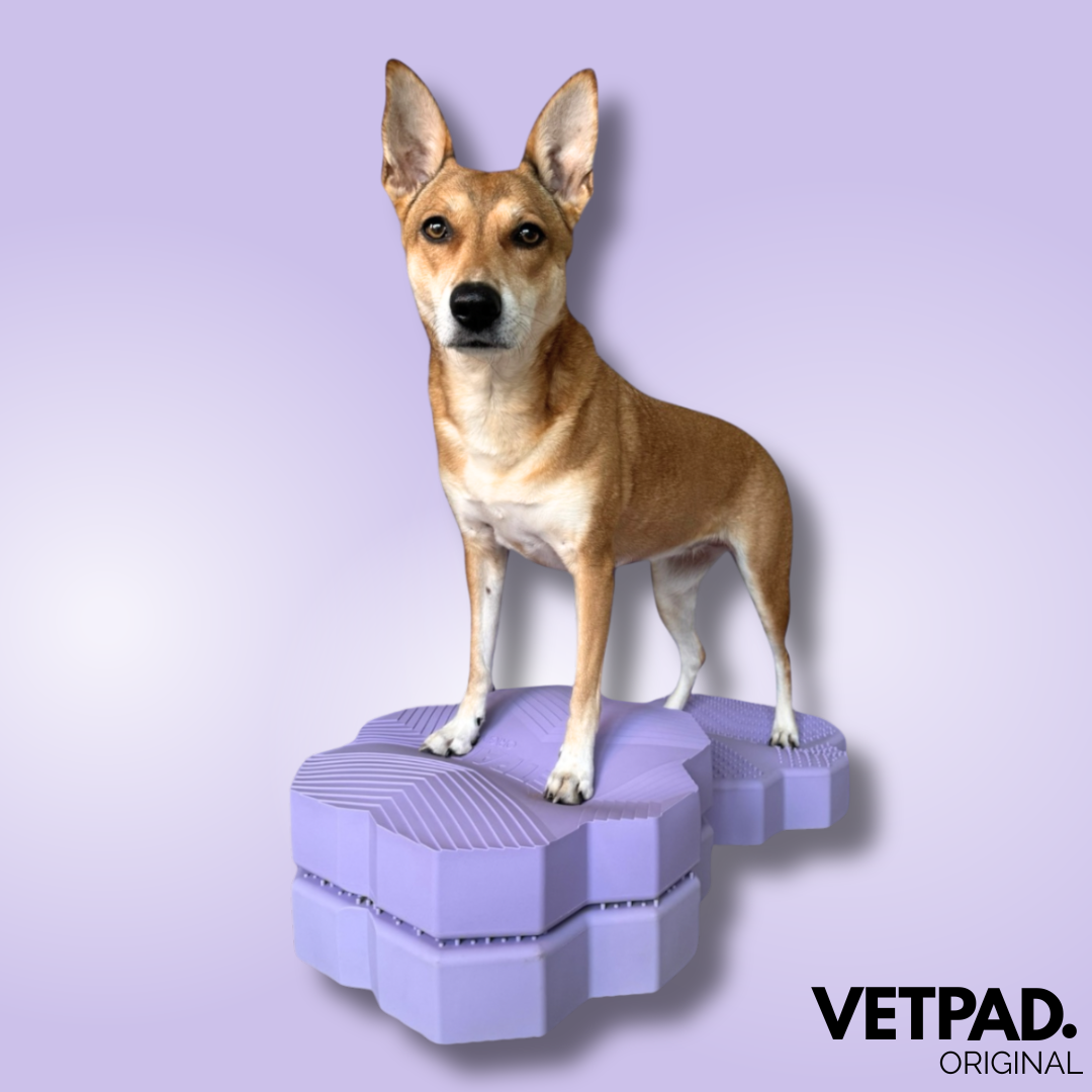 VETPAD. ORIGINAL - Balance Pad für Hunde - frosty lilac