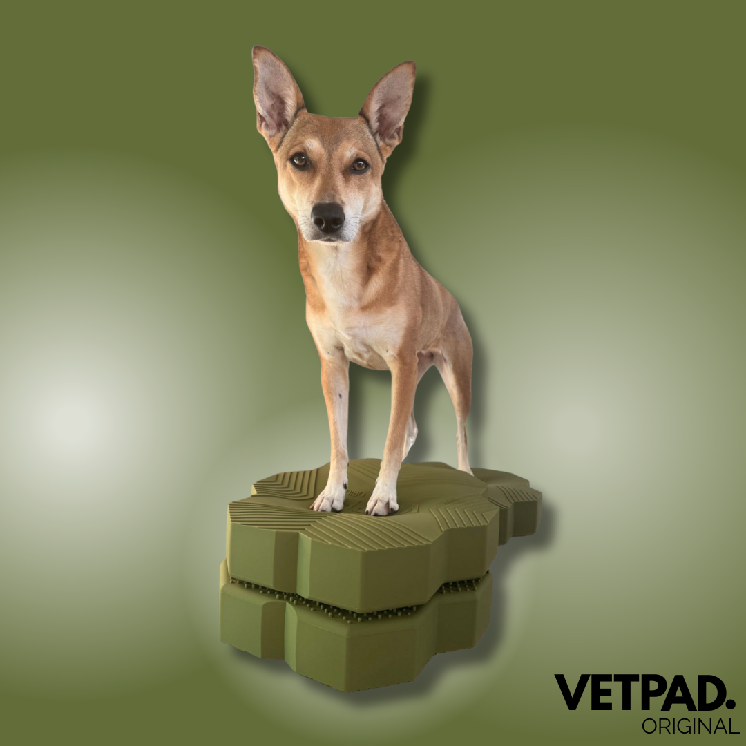 VETPAD. ORIGINAL - Balance Pad für Hunde - golden olive