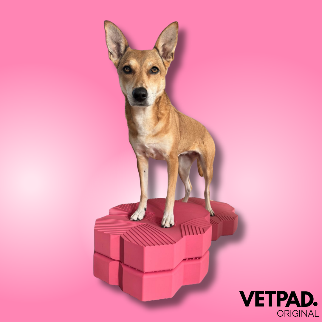 VETPAD. ORIGINAL - Balance Pad für Hunde - sunny pink