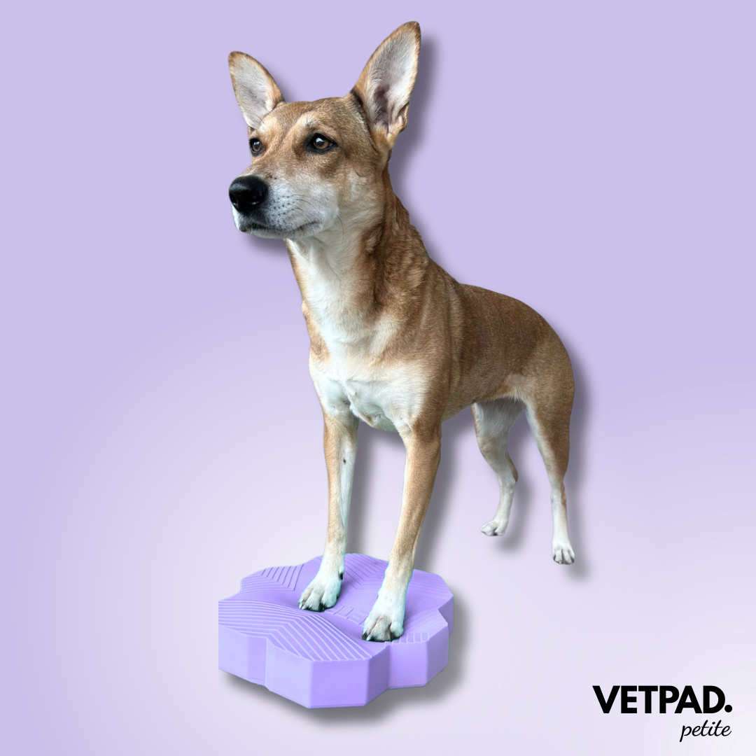 VETPAD. petite - Balance Pad für Hunde