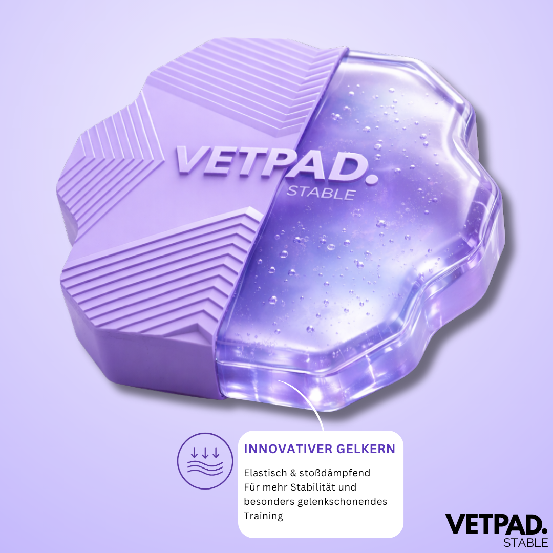 VETPAD. STABLE - Balance Pad für Hunde