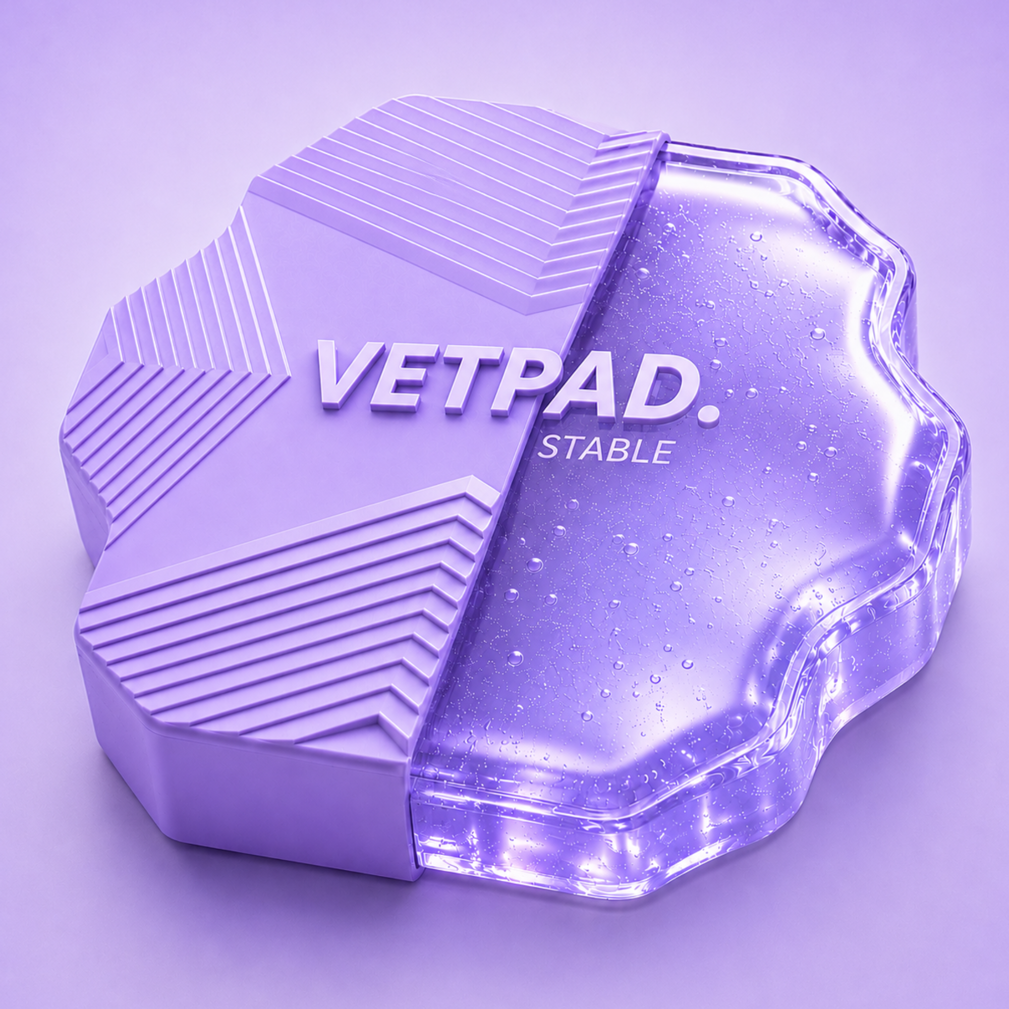 VETPAD. STABLE - Balance Pad für Hunde