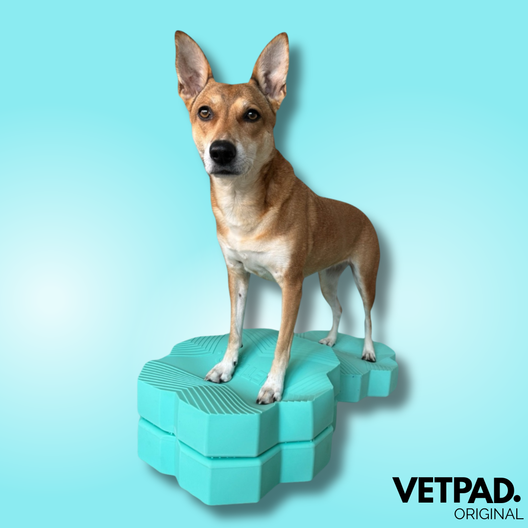 VETPAD. ORIGINAL - Balance Pad für Hunde - ocean mint