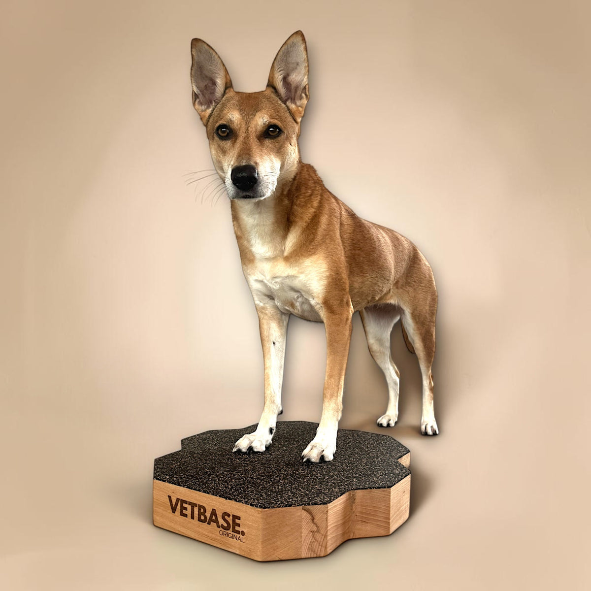 VETBASE. ORIGINAL – Stabile Plattform für Hunde