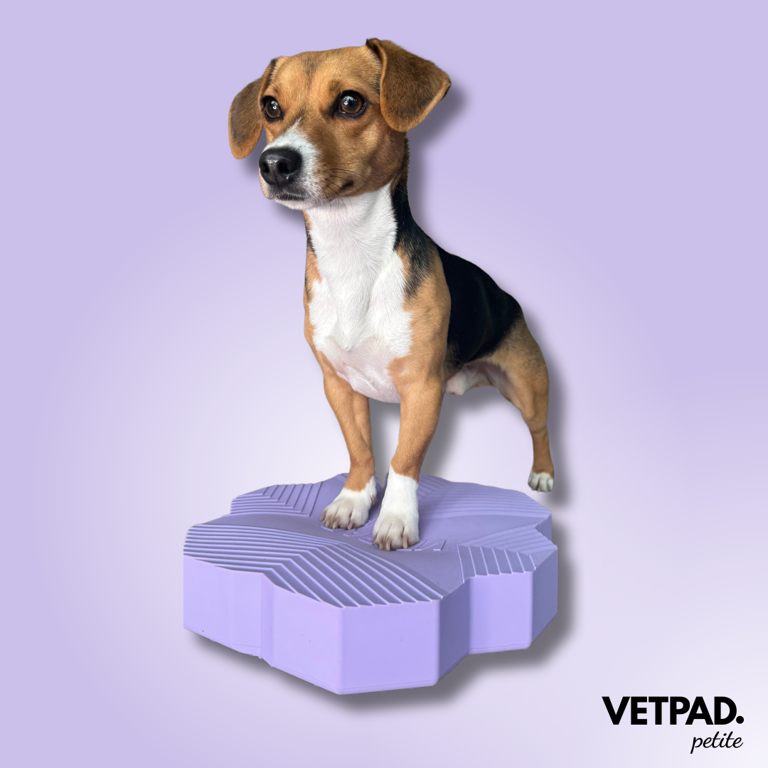 VETPAD. petite - Balance Pad für Hunde