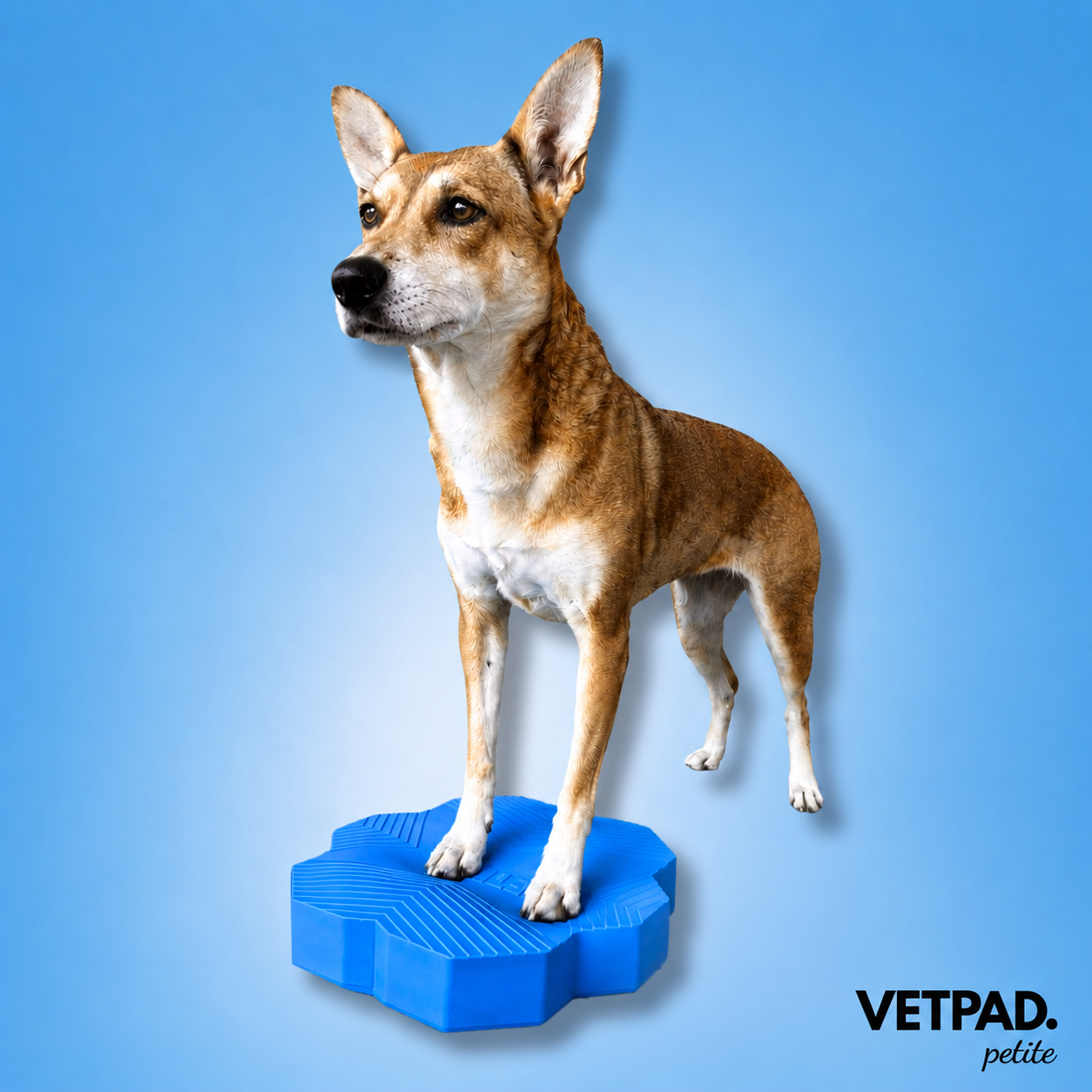 VETPAD. petite - Balanspad voor honden