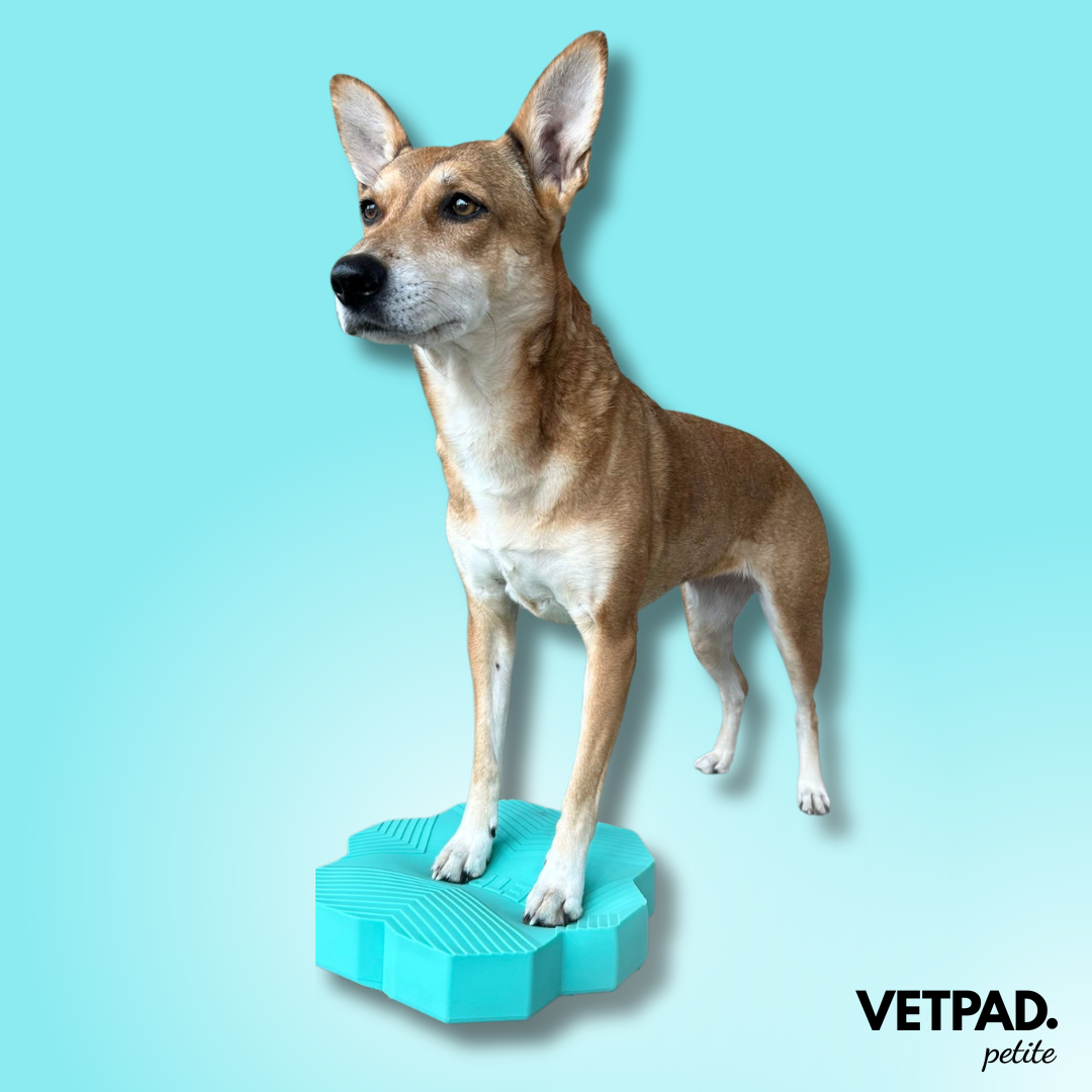 VETPAD. petite - Balance Pad für Hunde