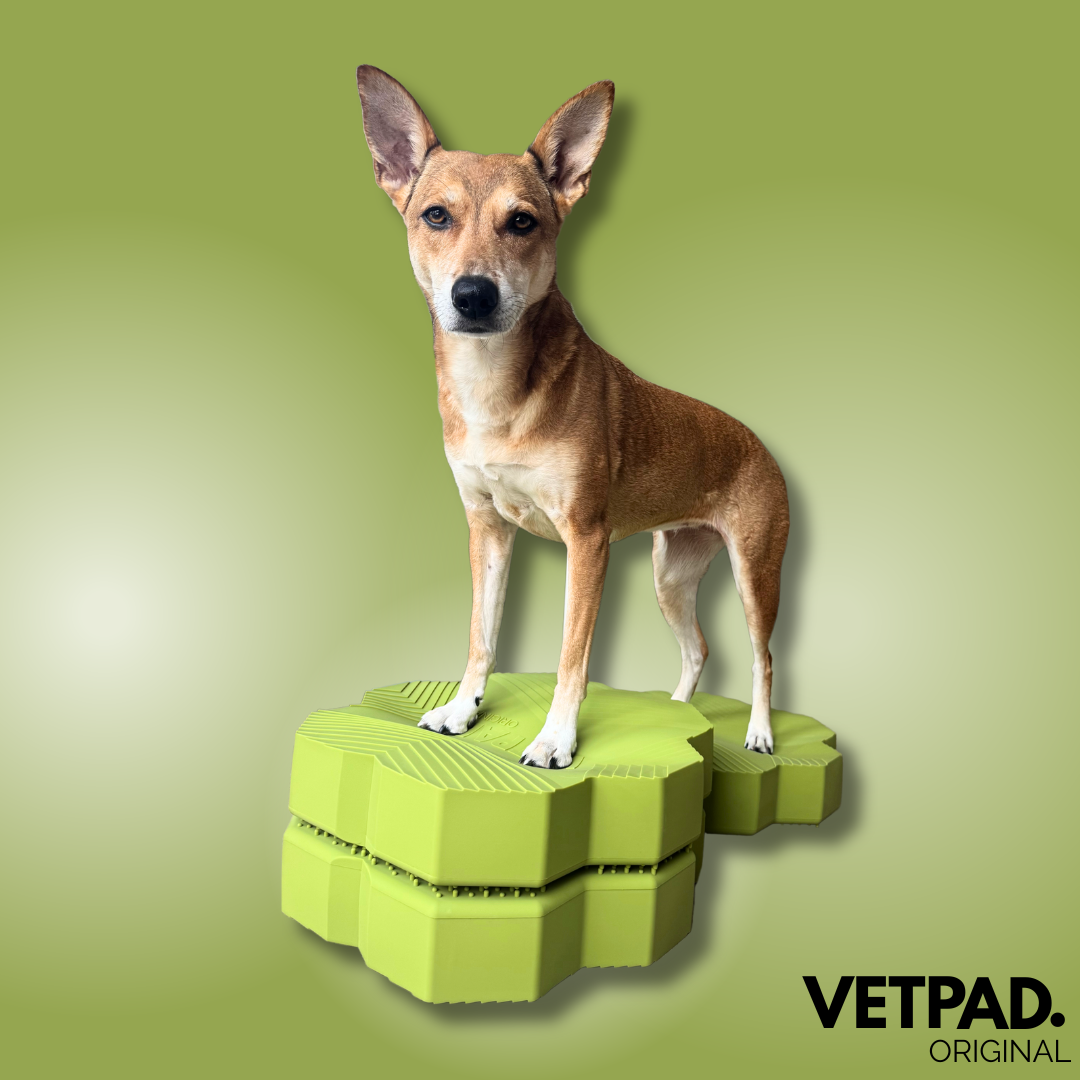VETPAD. ORIGINAL - Balance Pad für Hunde - dusty lime