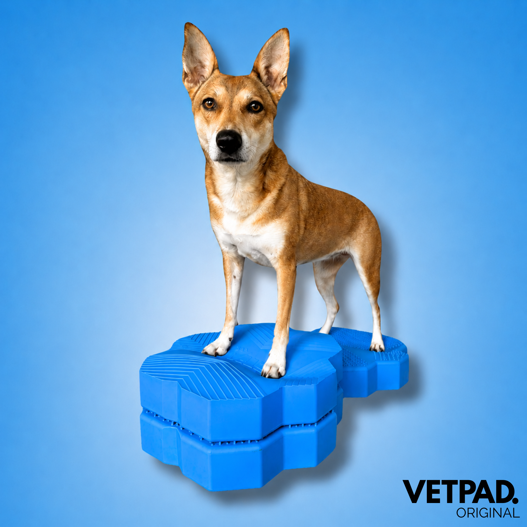 VETPAD. ORIGINAL - Balance Pad für Hunde