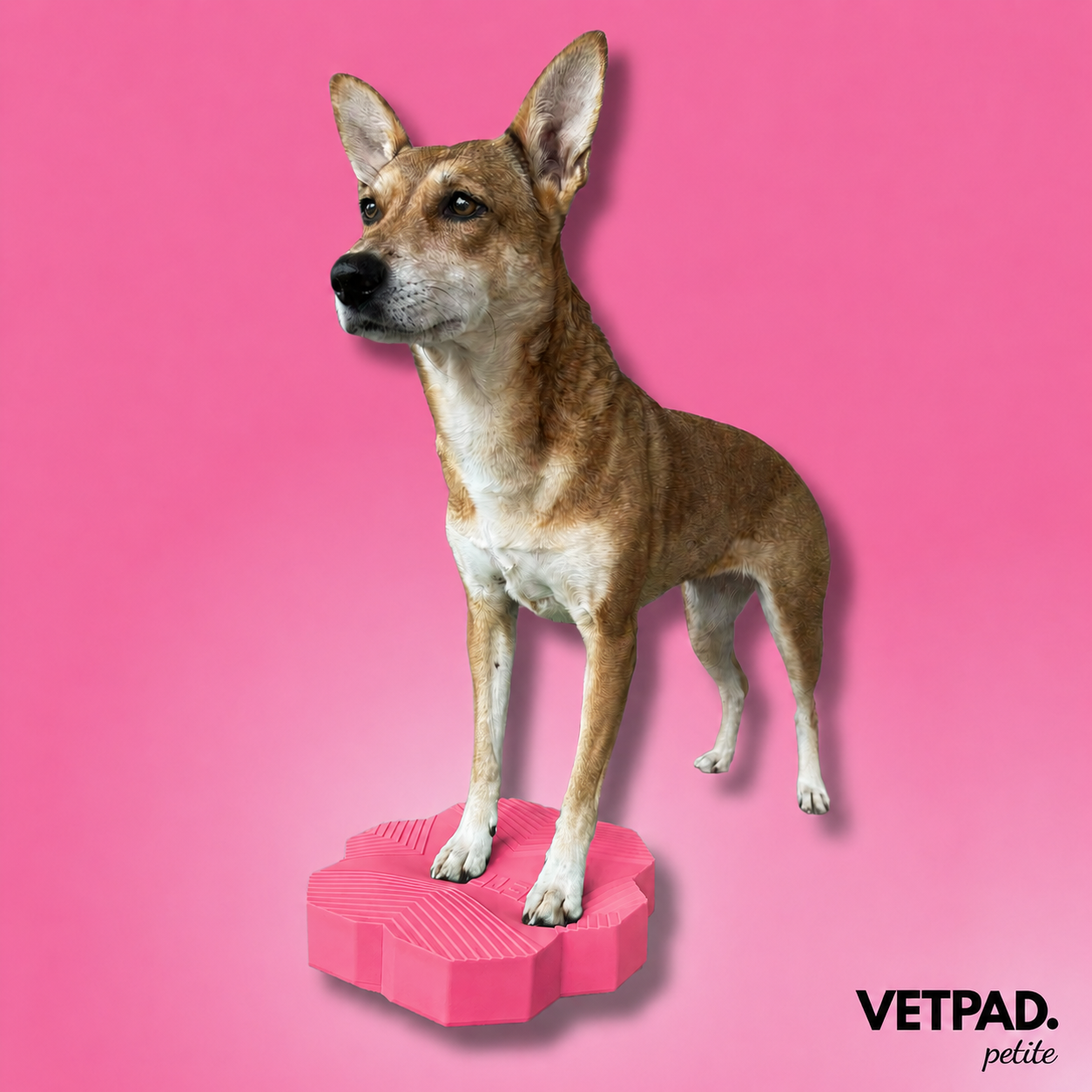 VETPAD. petite - Balance Pad für Hunde